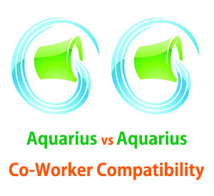 Aquarius and Aquarius Co-Worker Compatibility 
