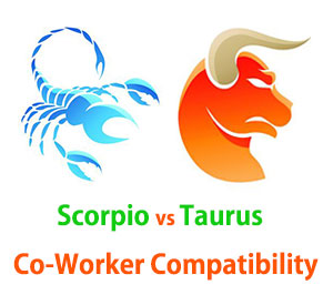 Scorpio and Taurus Co-Worker Compatibility 