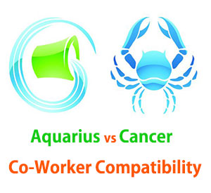 Aquarius and Cancer Co-Worker Compatibility 