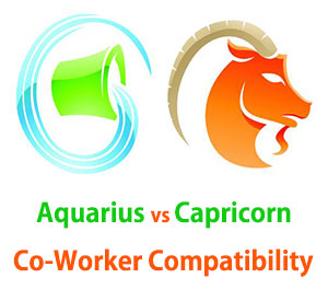 Aquarius and Capricorn Co-Worker Compatibility 