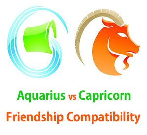 Aquarius and Capricorn Friendship Compatibility