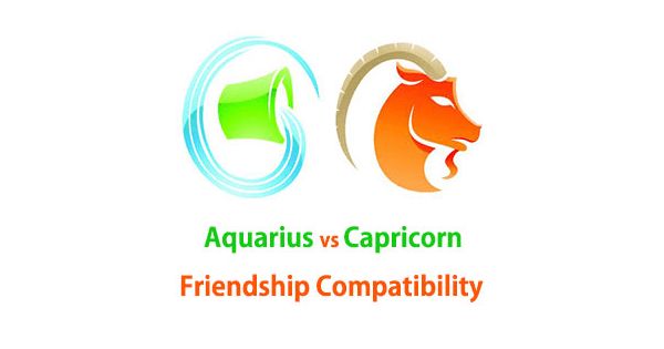 Aquarius And Capricorn Friendship Compatibility