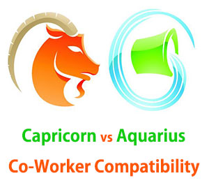 Capricorn and Aquarius Co-Worker Compatibility 