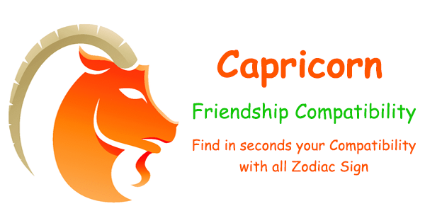 gemini capricorn friendship