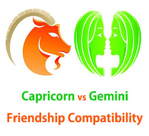 Capricorn and Gemini Friendship Compatibility