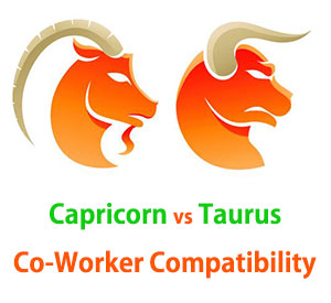 Capricorn and Taurus Co-Worker Compatibility 