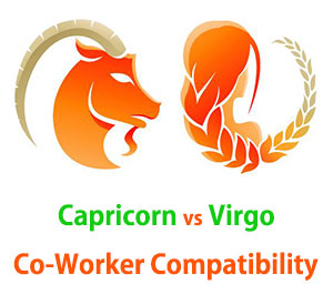 Capricorn and Virgo Co-Worker Compatibility 