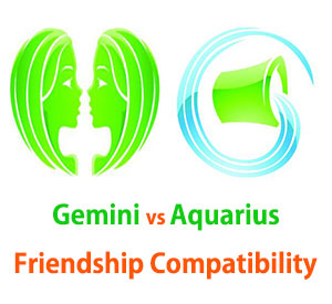 aquarius and gemini friendship percentage