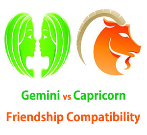 Gemini and Capricorn Friendship Compatibility
