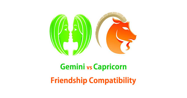 gemini capricorn friendship