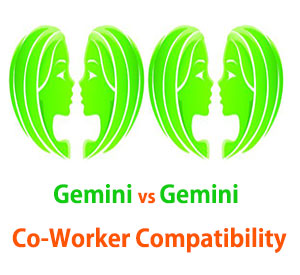 Gemini and Gemini Co-Worker Compatibility 