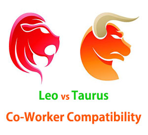 Leo and Taurus Co-Worker Compatibility 