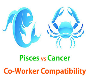 Pisces and Cancer Co-Worker Compatibility 