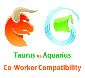 Taurus and Aquarius Co-Worker Compatibility 