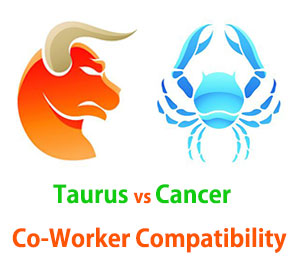 Taurus and Cancer Co-Worker Compatibility 