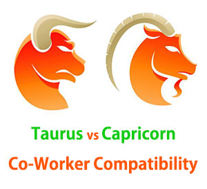 Taurus and Capricorn Co-Worker Compatibility 