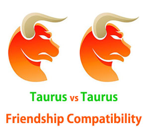Taurus and Taurus Friendship Compatibility