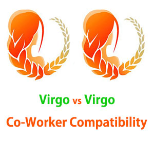 Virgo and Virgo Co-Worker Compatibility 