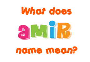 Meaning of Amir Name