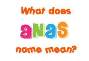 Meaning of Anas Name