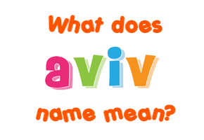 Meaning of Aviv Name