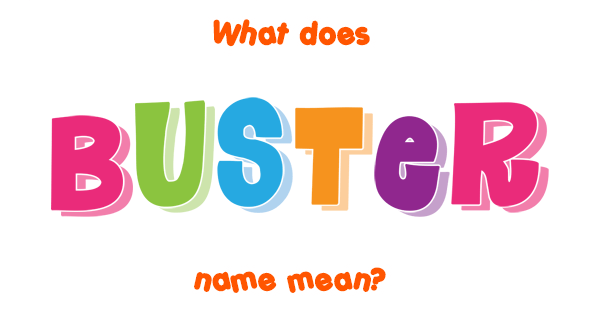 education buster meaning