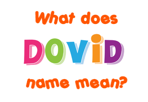 Meaning of Dovid Name