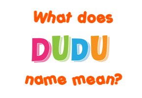 Meaning of Dudu Name