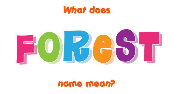 forest-name-meaning-of-forest