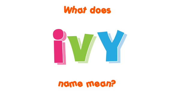 ivi meaning