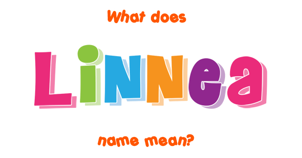 Linnea Name Meaning Of Linnea