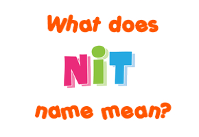 Meaning of Nit Name