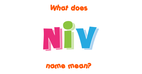 niv-name-meaning-of-niv