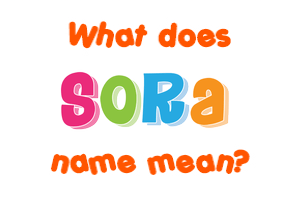 Meaning of Sora Name