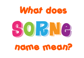 Meaning of Sorne Name