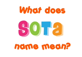 Meaning of Sota Name