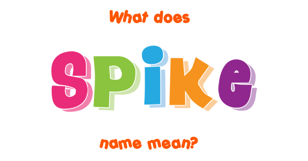 spike meaning
