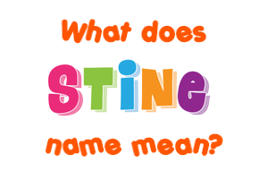 Meaning of Stine Name