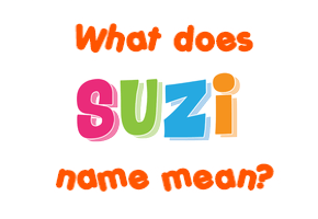 Meaning of Suzi Name