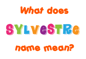 Meaning of Sylvestre Name