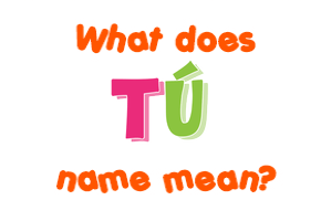 Meaning of Tú Name