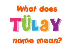 Meaning of Tülay Name