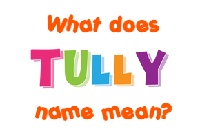 Meaning of Tully Name