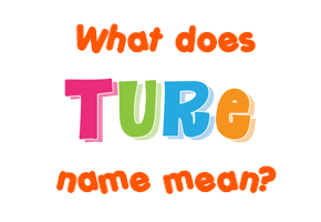 Meaning of Ture Name