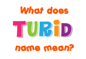 Meaning of Turid Name