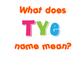 Meaning of Tye Name