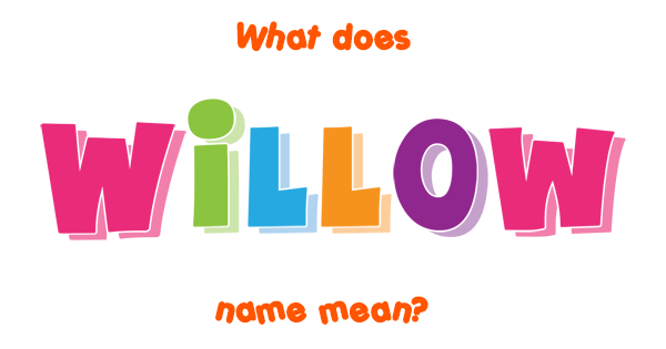 willow-name-meaning-of-willow